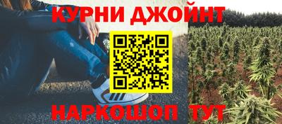 сатива Севастополь