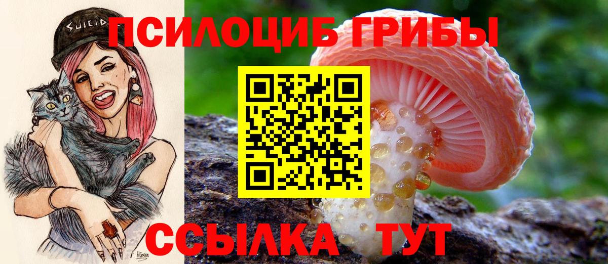 Галлюциногенные грибы Magic Shrooms  купить   Псилоцибиновые грибы мухоморы  Обь  Вход с VPN 